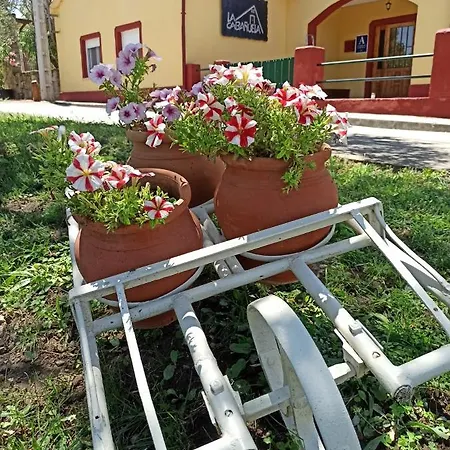 キャンプ場 La Cabanuela Monleras