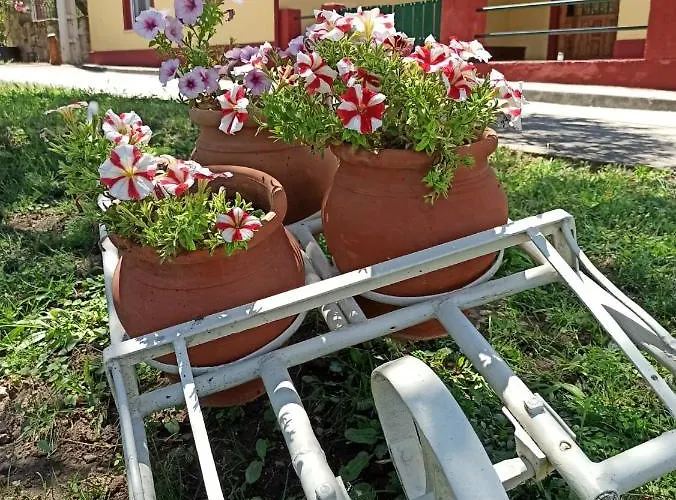 Kamp alanı La Cabanuela Monleras